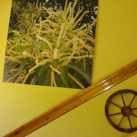 Hostal El Peregrino La Portela de Valcarce Bagian luar foto